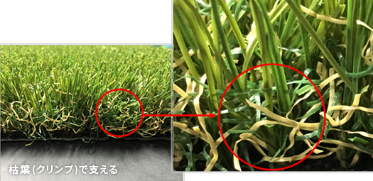枯葉(クリンプ)で支える